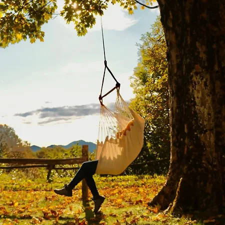 Хостел Montino Coliving