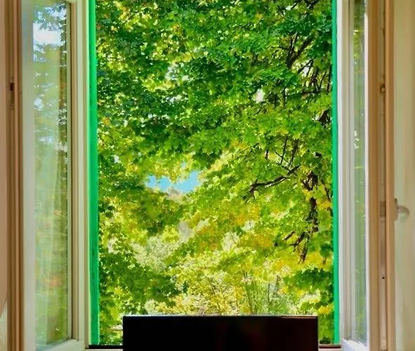 Montino Coliving Vandrerhjem